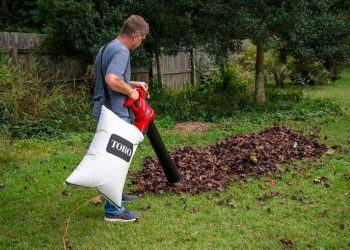 Garden Cleaning
