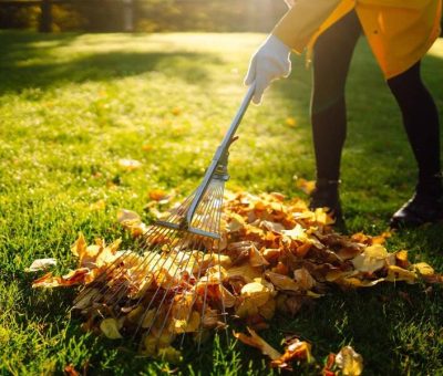 garden-rake
