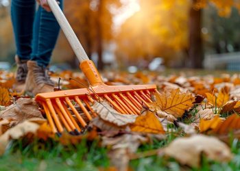 Outdoor Cleaning Service 5