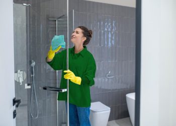 Bathroom Cleaning